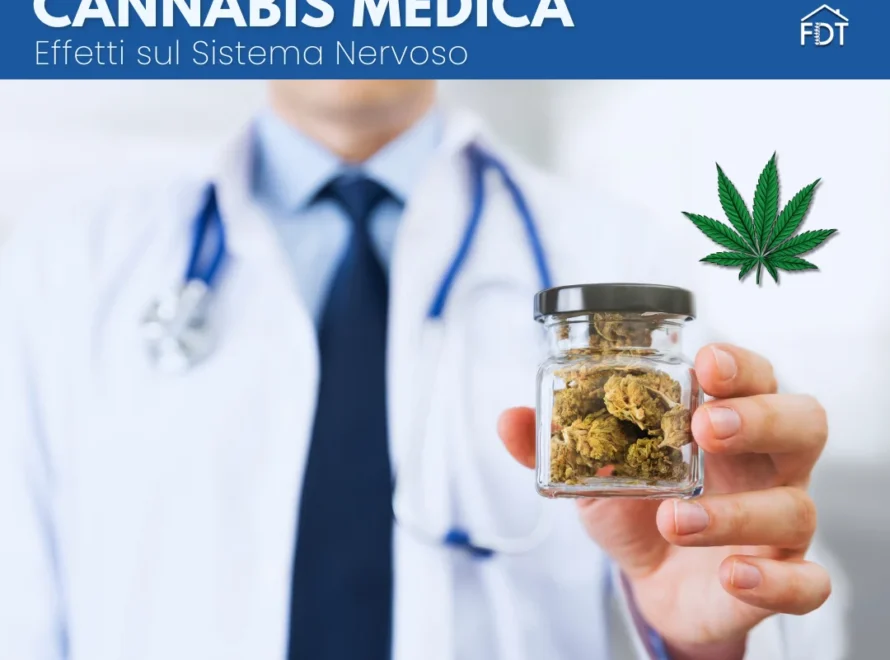 Cannabis e sistema nervoso centrale: effetti neurologici e implicazioni per fisioterapia e riabilitazione.