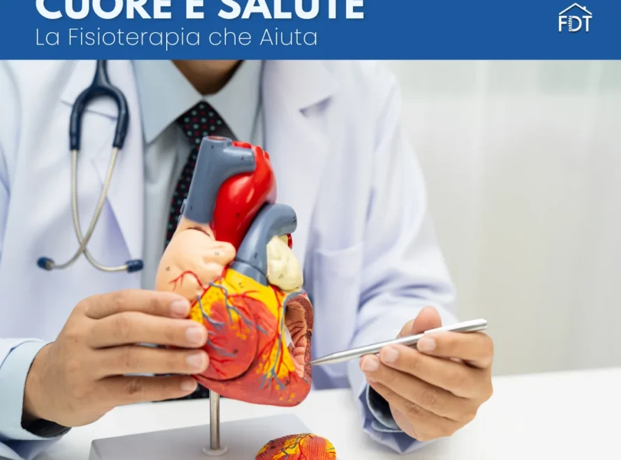 Dottore tiene in mano modello anatomico del cuore umano con stetoscopio al collo