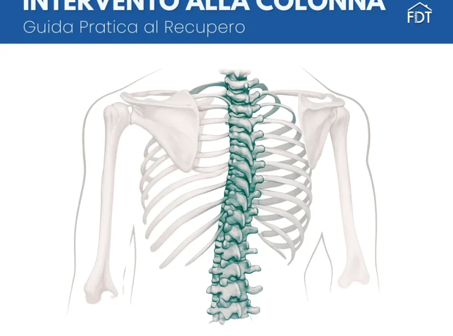 Anatomia della colonna vertebrale e della gabbia toracica vista posteriore