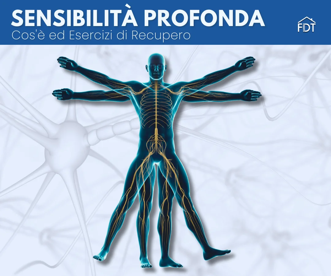 Paziente esegue esercizi di sensibilità profonda e propriocezione assistito da un fisioterapista a domicilio a Roma.