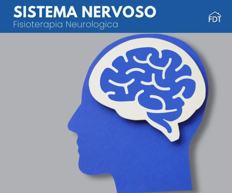 Sistema Nervoso: Funzioni, Disturbi e Fisioterapia Neurologica
