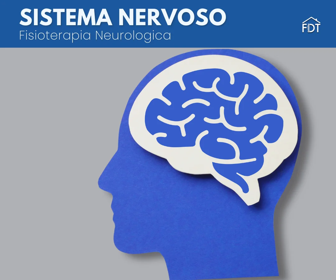 Sagoma stilizzata di cervello umano blu su sfondo grigio