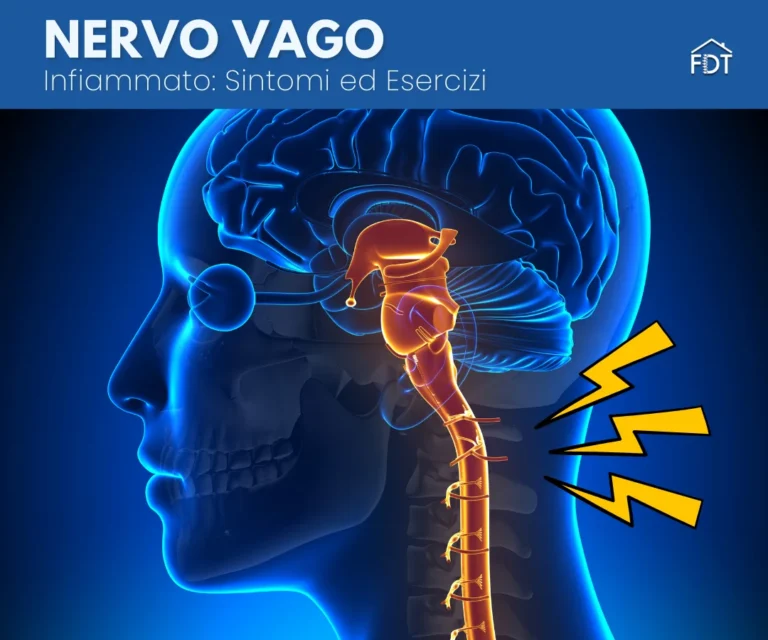 Nervo Vago Infiammato: Sintomi, Cause ed Esercizi per Sbloccarlo